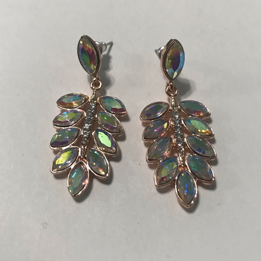 Multi colored Earnings